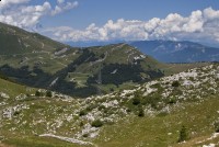IMG_6957-web.jpg