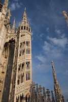 IMG_7151-web.jpg