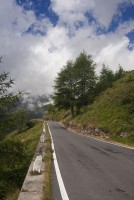 IMG_7232-web.jpg
