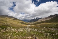 IMG_7246-web.jpg