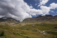 IMG_7248-web.jpg
