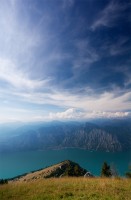 IMG_3230-web.jpg