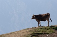 IMG_3249-web.jpg