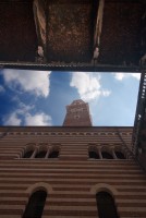 IMG_3354-web.jpg