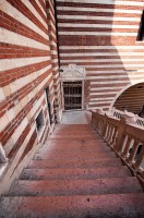 IMG_3358-web.jpg