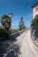 IMG_3380-web.jpg