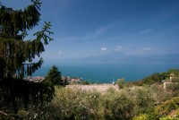 IMG_3383-web.jpg
