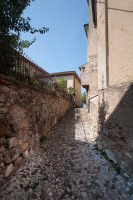 IMG_3395-web.jpg