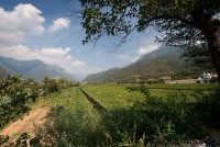 IMG_3419-web.jpg