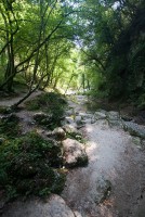 IMG_3465-web.jpg