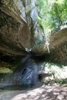IMG_3480-web.jpg