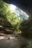 IMG_3484-web.jpg