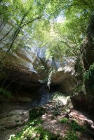 IMG_3487-web.jpg