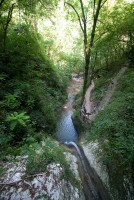 IMG_3500-web.jpg