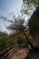 IMG_3510-web.jpg