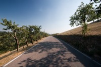 IMG_3517-web.jpg