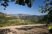 IMG_3520-web.jpg