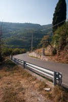 IMG_3527-web.jpg