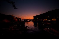 IMG_3568-web.jpg