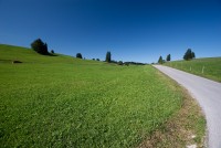 IMG_3727-web.jpg