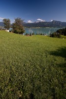 IMG_3732-web.jpg