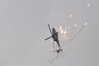 IMG_7301-web.jpg
