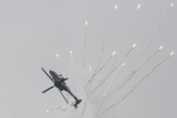 IMG_7302-web.jpg