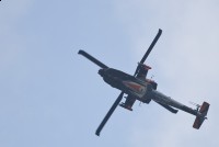 IMG_7317-web.jpg