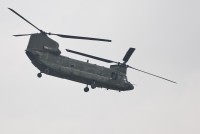 IMG_7389-web.jpg