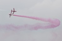 IMG_7447-web.jpg